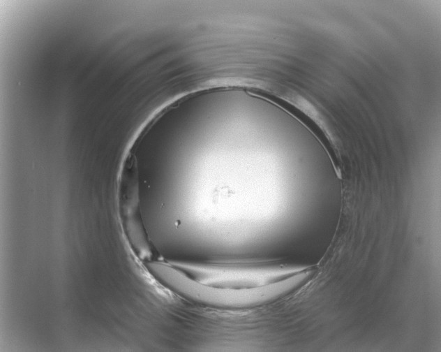 X0000070191140200606232006