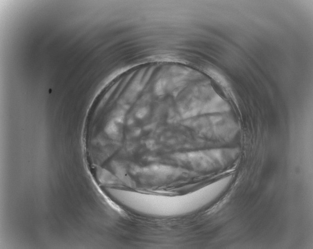 X0000070191141200606232006