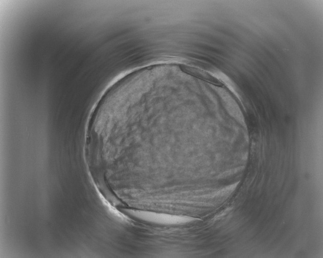 X0000070191143200606232006