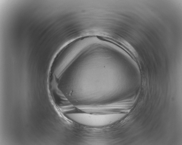 X0000070191144200606232006