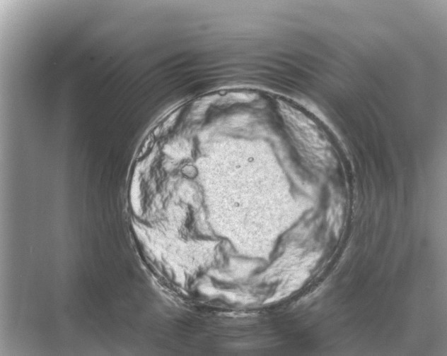 X0000070191145200606232006