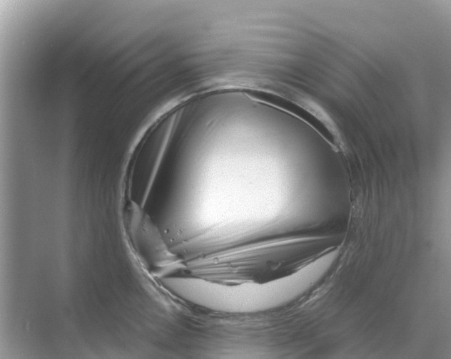 X0000070191146200606232006