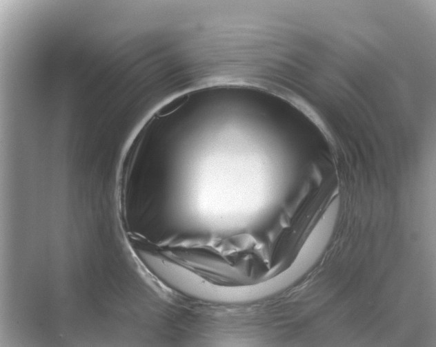 X0000070191148200606232006