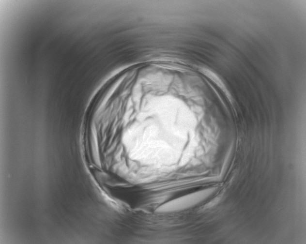 X0000070191149200606232006