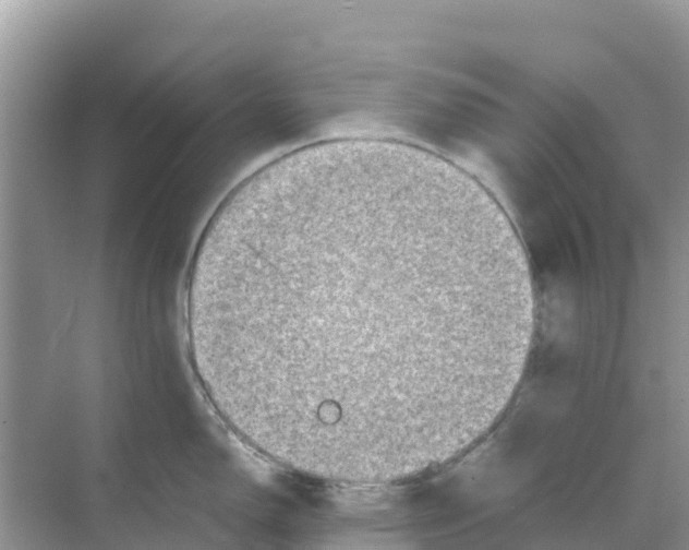 X0000070191150200606232006