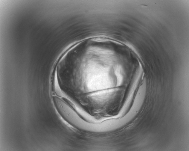 X0000070191151200606232006