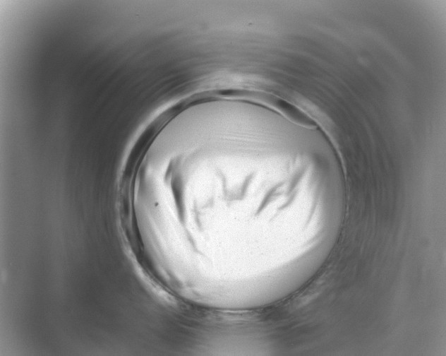 X0000070191152200606232006