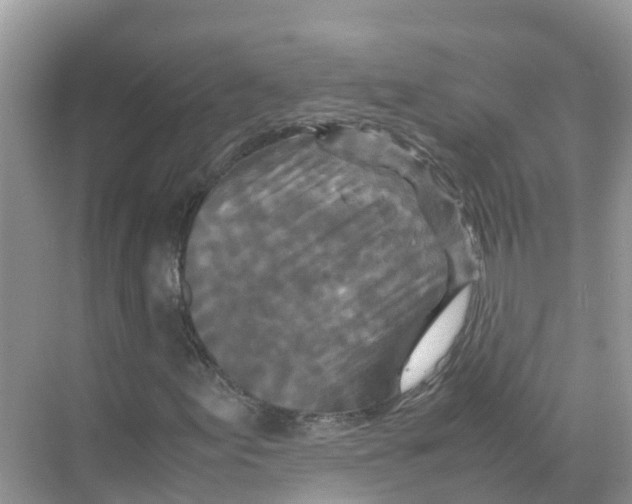 X0000070191155200606232005