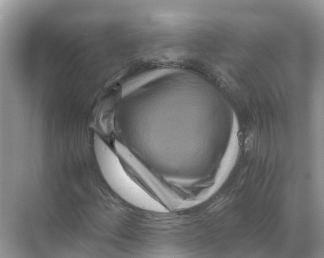 X0000070191156200606232005