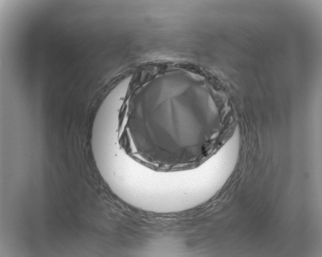 X0000070191157200606232005