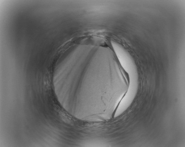 X0000070191158200606232005