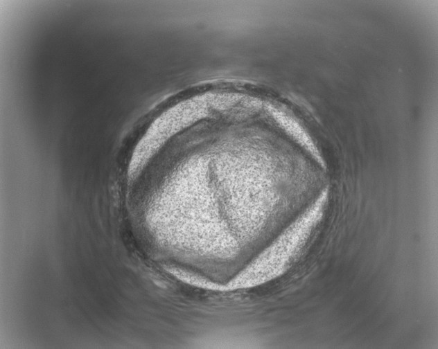 X0000070191159200606232005