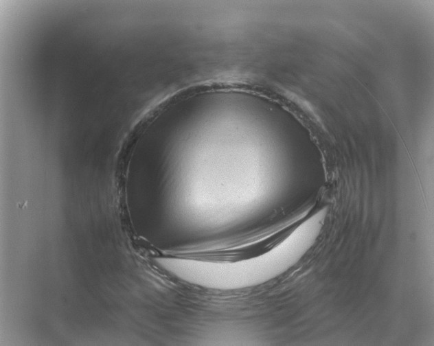 X0000070191160200606232005