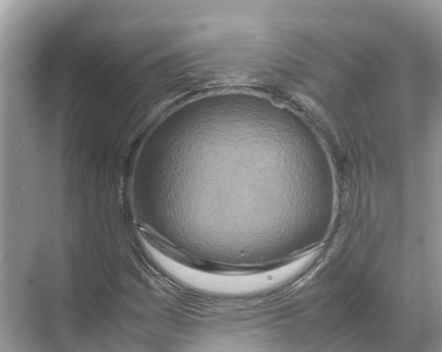 X0000070191161200606232005