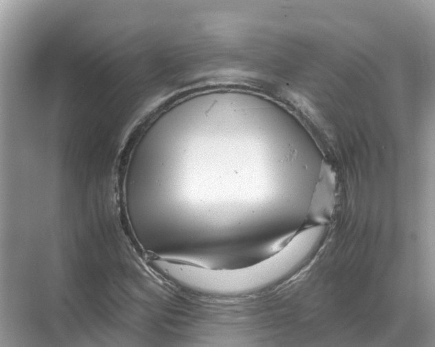 X0000070191164200606232005