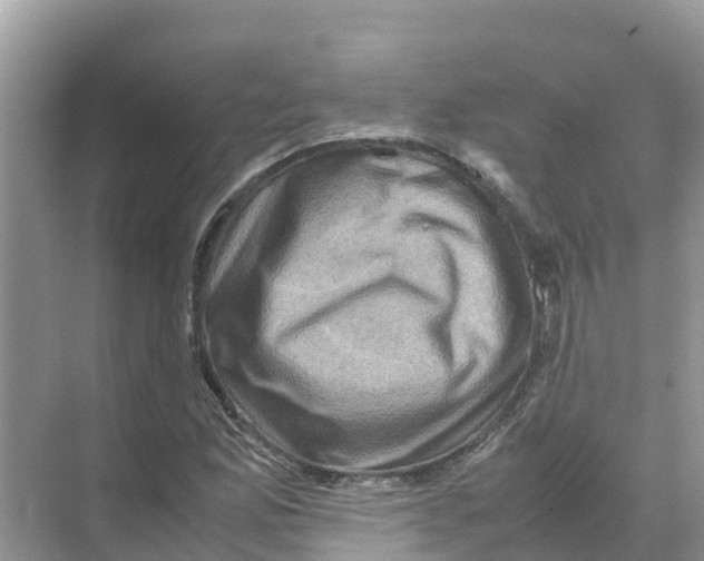 X0000070191165200606232005