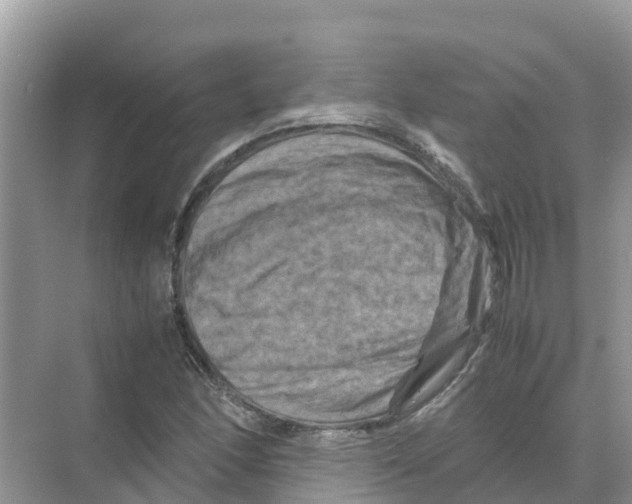 X0000070191166200606232005