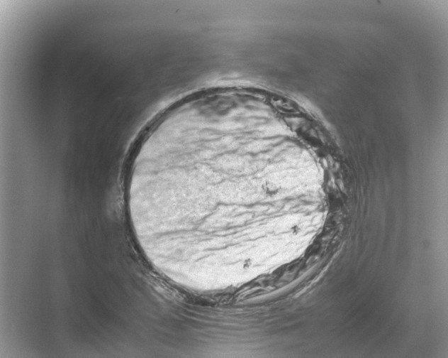 X0000070191167200606232005