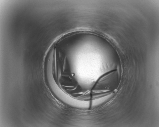 X0000070191168200606232005