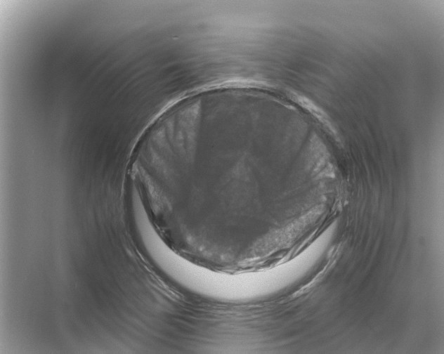 X0000070191170200606232005