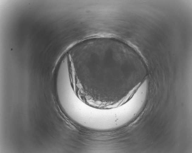 X0000070191171200606232005