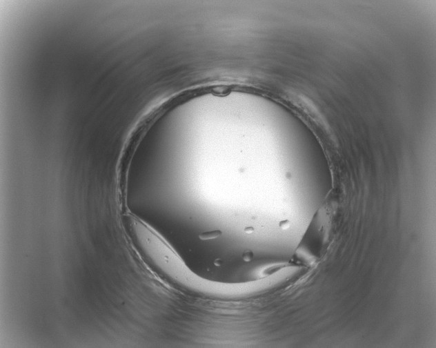 X0000070191172200606232005