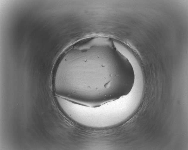 X0000070191173200606232005