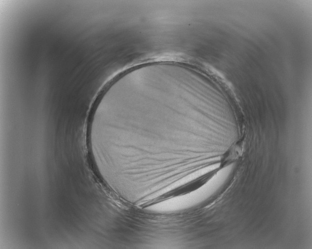 X0000070191174200606232005