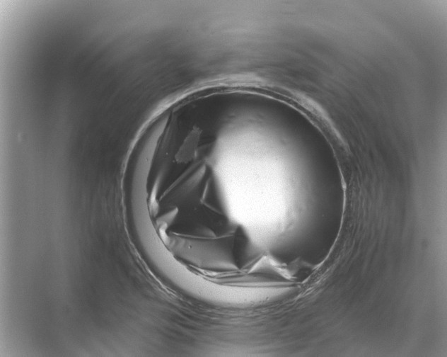 X0000070191176200606232005