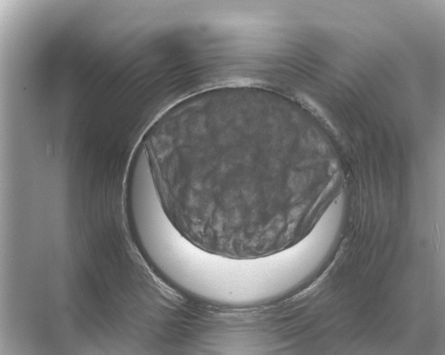 X0000070191178200606232005