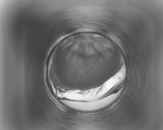 X0000070191179200606232005