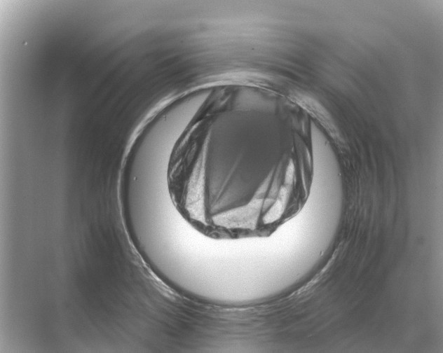 X0000070191180200606232005