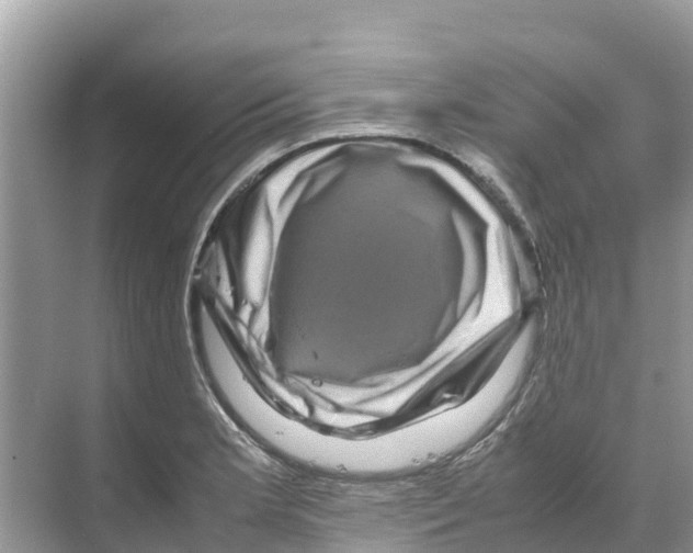 X0000070191181200606232005