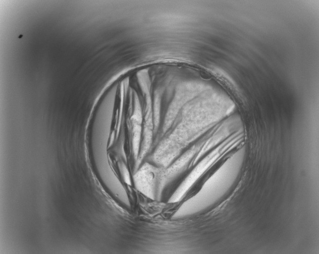 X0000070191182200606232005