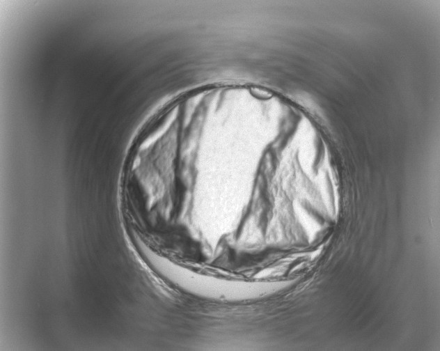 X0000070191183200606232005