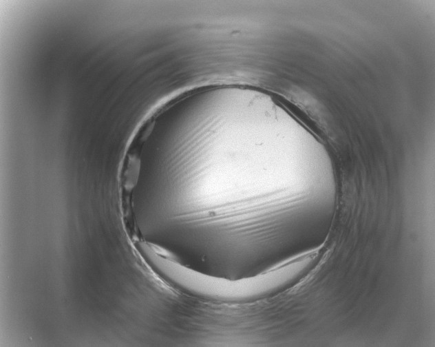 X0000070191184200606232005