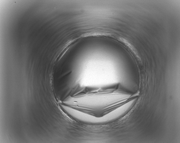 X0000070191185200606232005