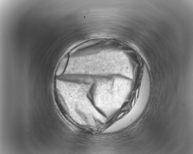 X0000070191187200606232005