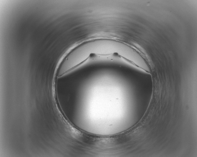 X0000070191188200606232005