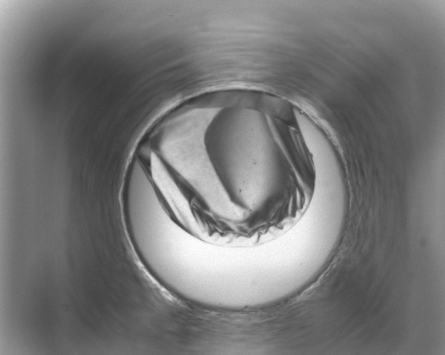 X0000070191189200606232005