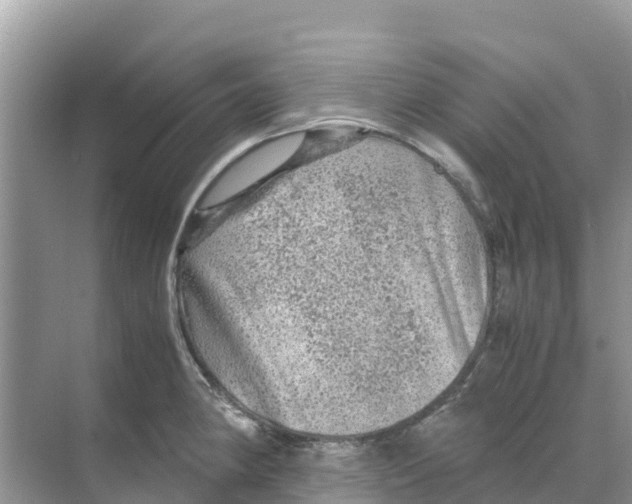 X0000070191190200606232005