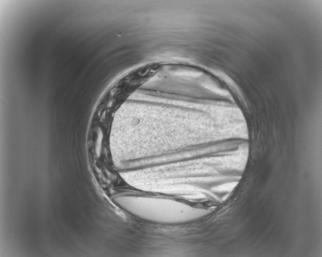 X0000070191191200606232004