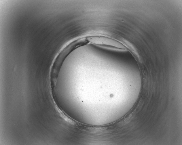 X0000070191192200606232004