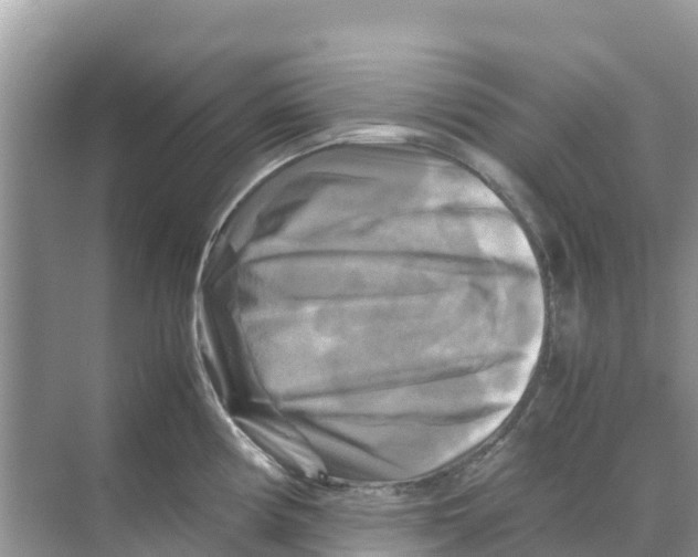 X0000070191194200606232004