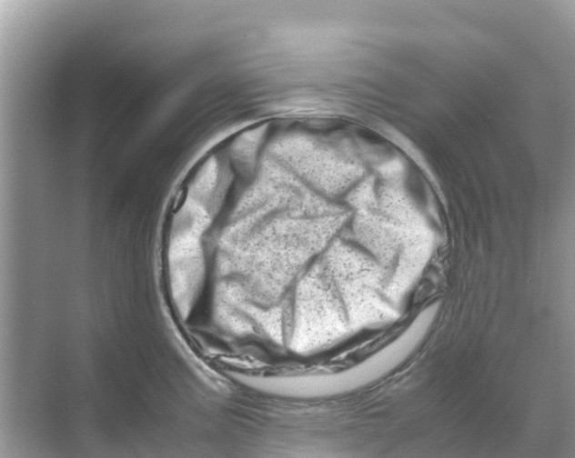 X0000070191195200606232004