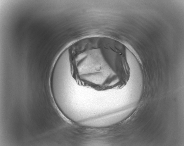 X0000070191197200606232004