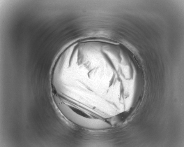 X0000070191200200606232004