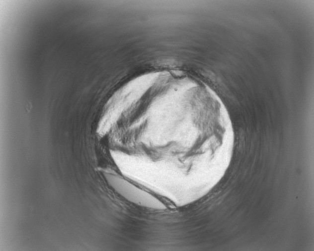 X0000070191201200606232004