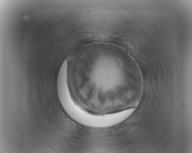 X0000070191202200606232004