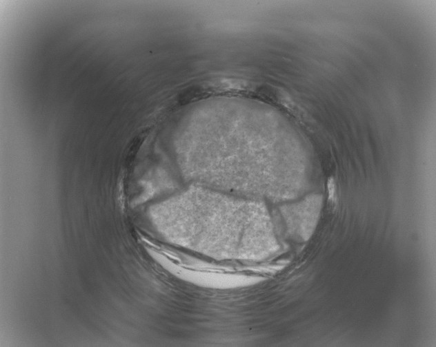 X0000070191203200606232004